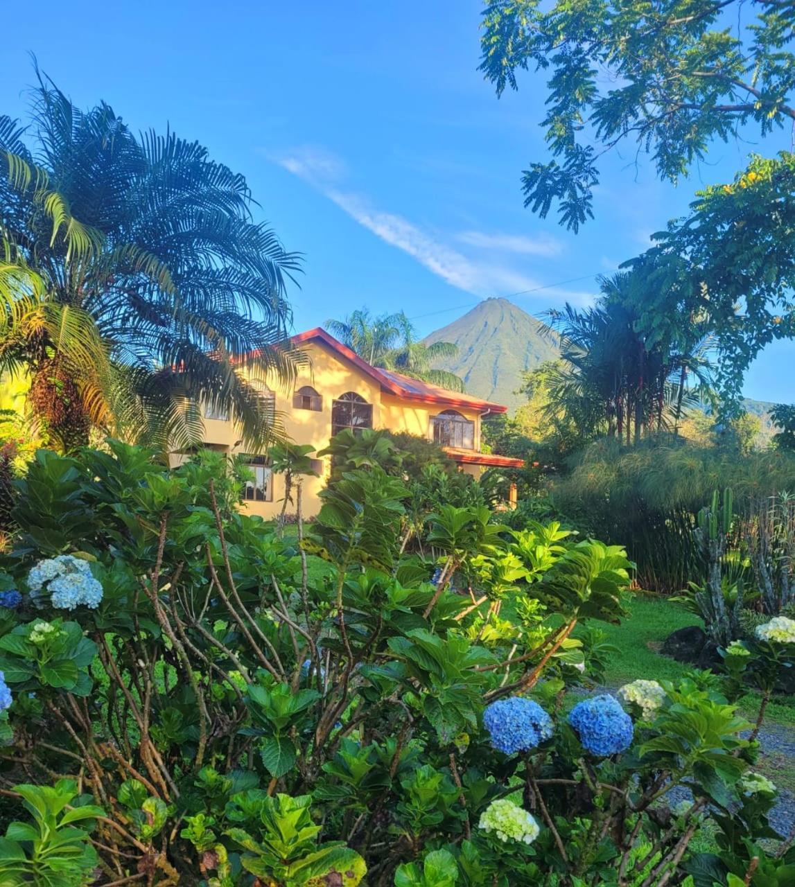 Yellow Tree Suites La Fortuna Exterior foto